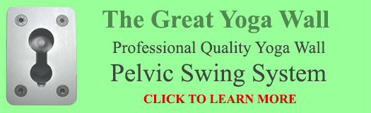 yoga pelvic swing system
